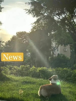 Як вибрати лінзу світлодіодного вуличного ліхтаря